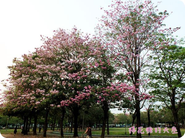 00全景4.JPG