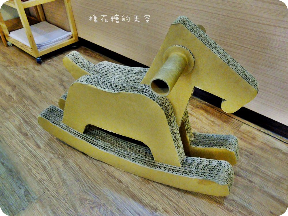 00環境兒童2.JPG