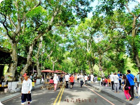00綠色隧道.JPG