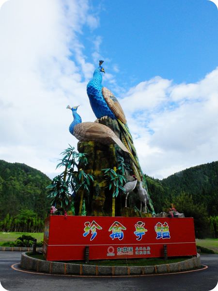 孔雀燈