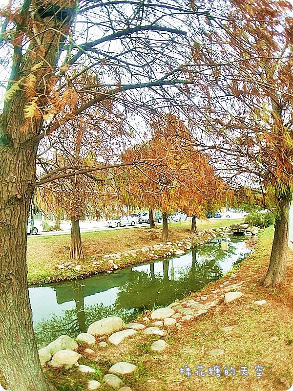 0013-1.jpg