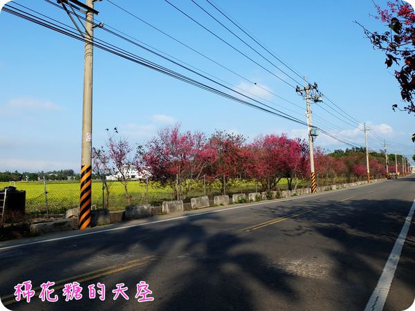 00路旁驚喜