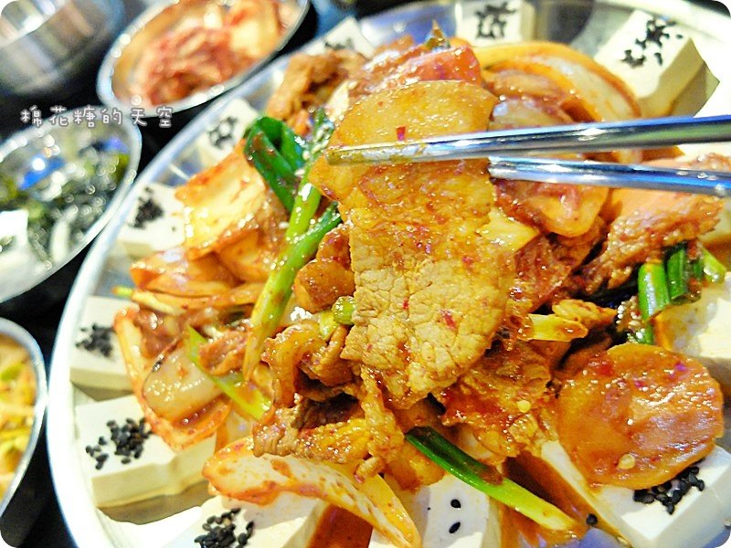 00菜泡菜豬3.JPG