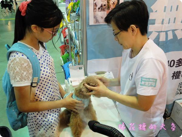 00寵物SPA8.JPG
