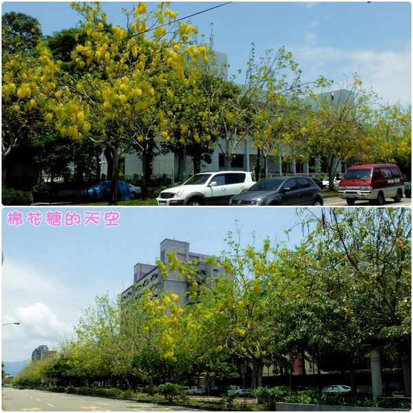 00中興大學9.jpg
