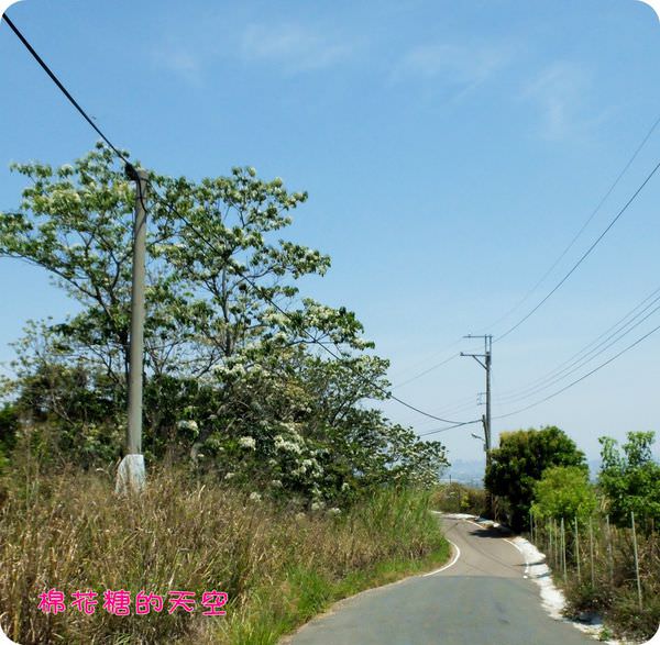 00遠距5.JPG