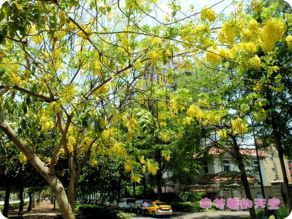 00中興大學11.JPG