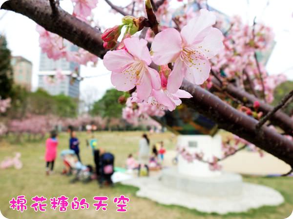 00野餐2