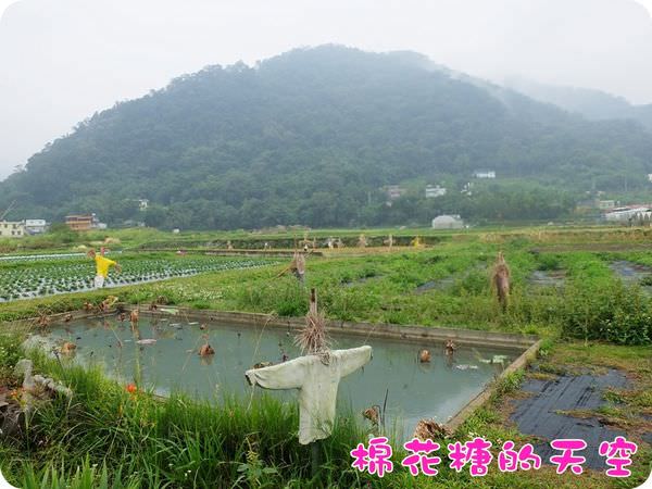 00稻草人