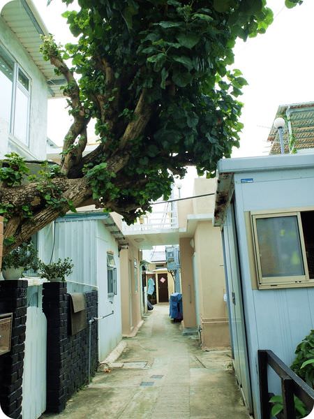 彩色屋6