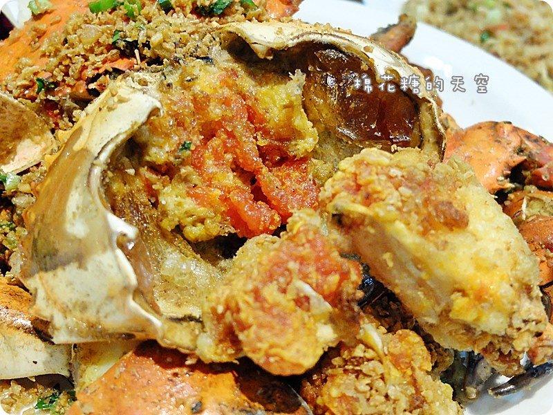 00菜沙公9.JPG
