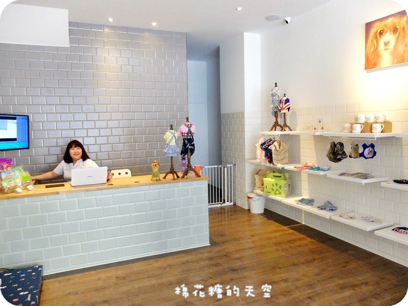 台中狗旅館推薦-店內環境
