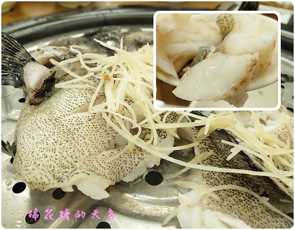 00虎斑2.jpg 00虎斑2.jpg