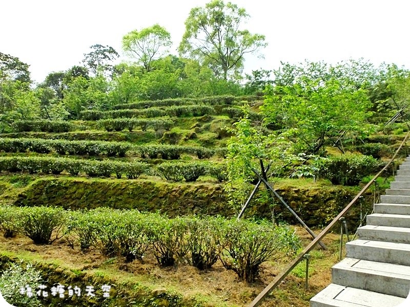 01報到7.JPG