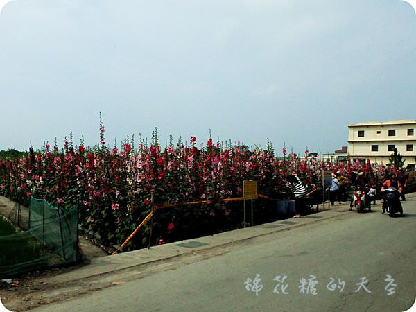 00全景.JPG