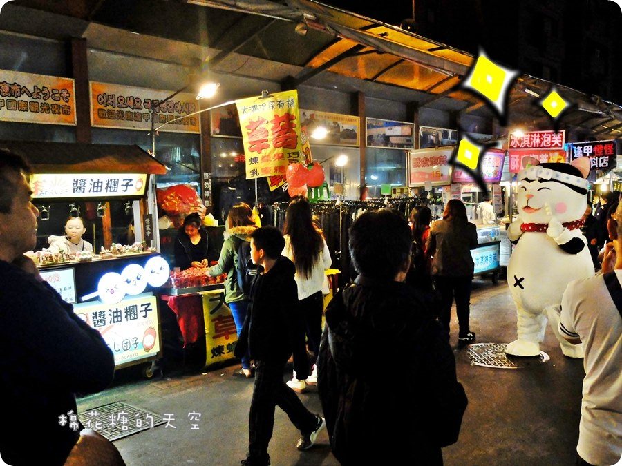 00貓咪2.JPG