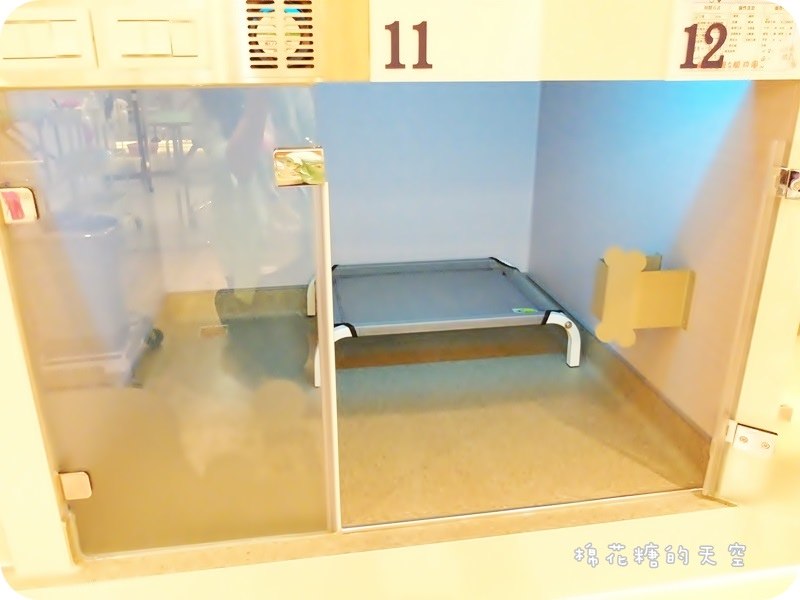 台中狗旅館推薦-用心的環境清潔