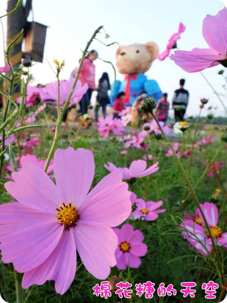 00小熊花花