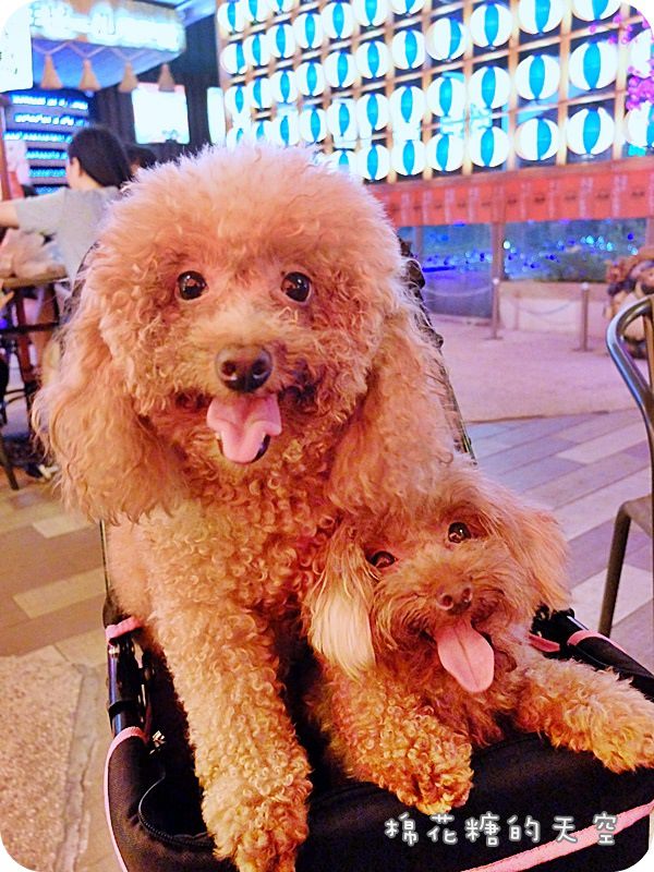 01激旨燒鳥二樓.JPG 01激旨燒鳥二樓.JPG