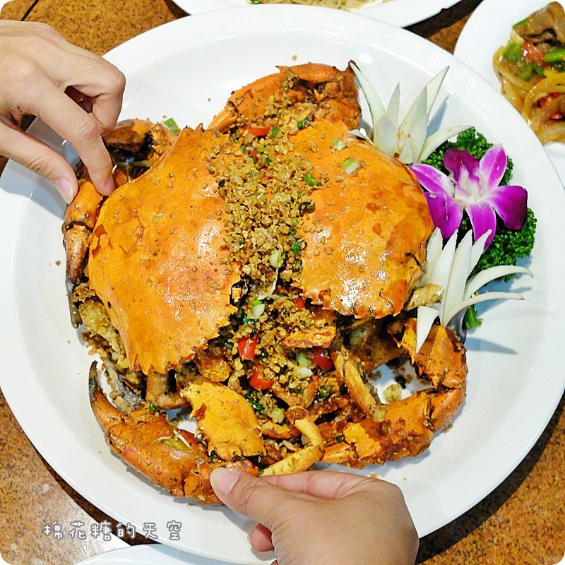 00菜沙公6.JPG