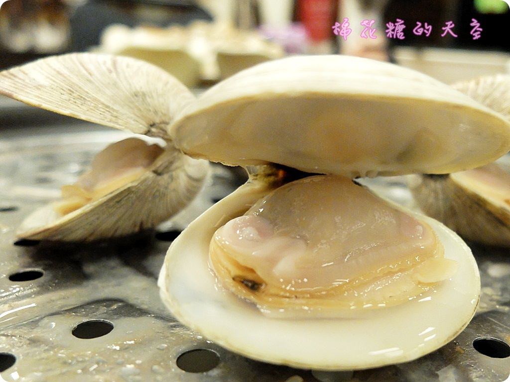 00牛奶貝3.JPG