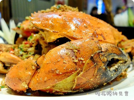 00菜沙公4.JPG