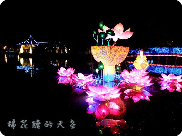 00水中蓮花3.JPG