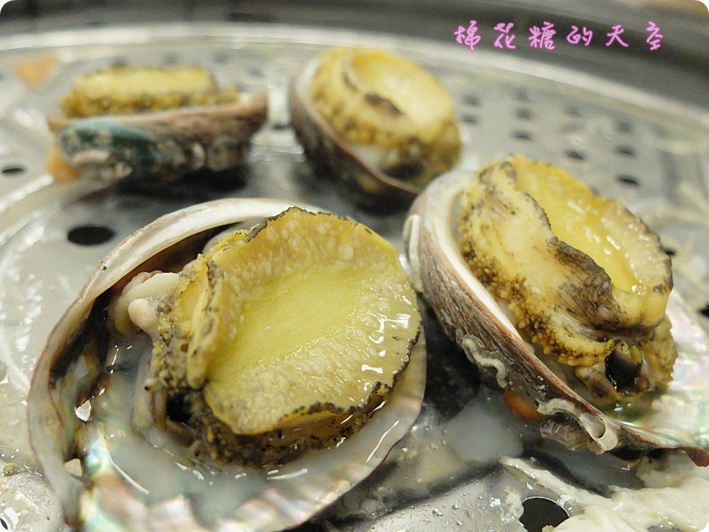 00九孔2.JPG 00九孔2.JPG