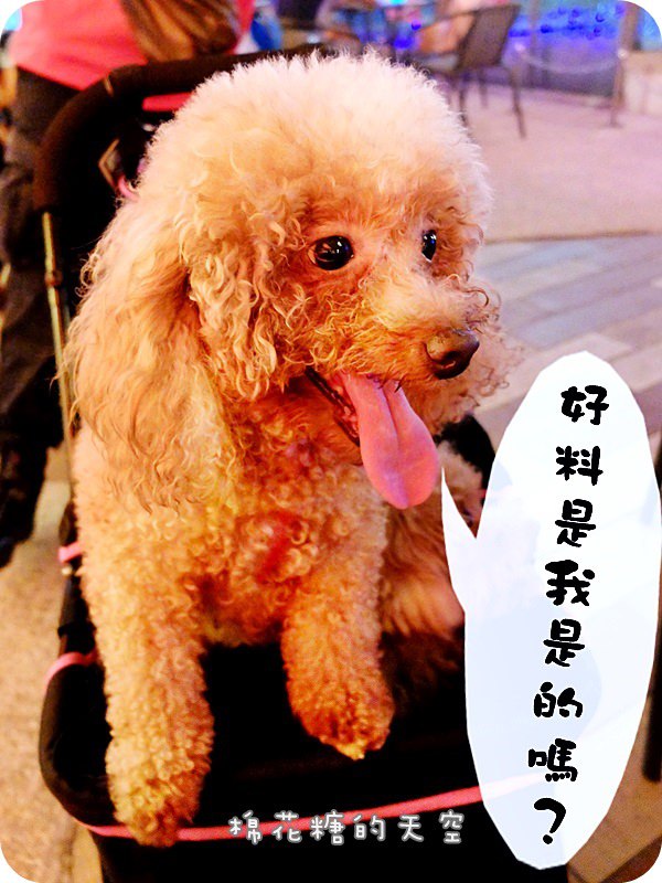 01激旨燒鳥二樓2.JPG 01激旨燒鳥二樓2.JPG