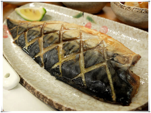 鯖魚24