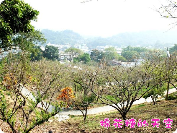 00梅山全景