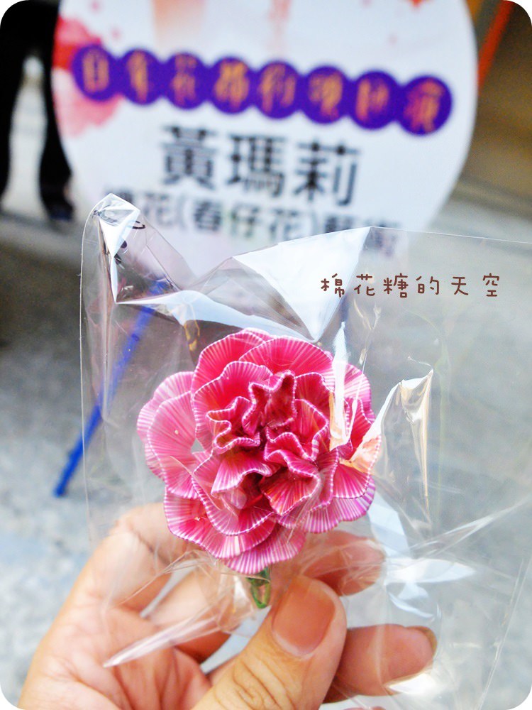 00春仔花2.JPG