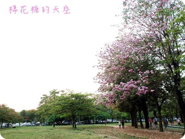 00全景.JPG