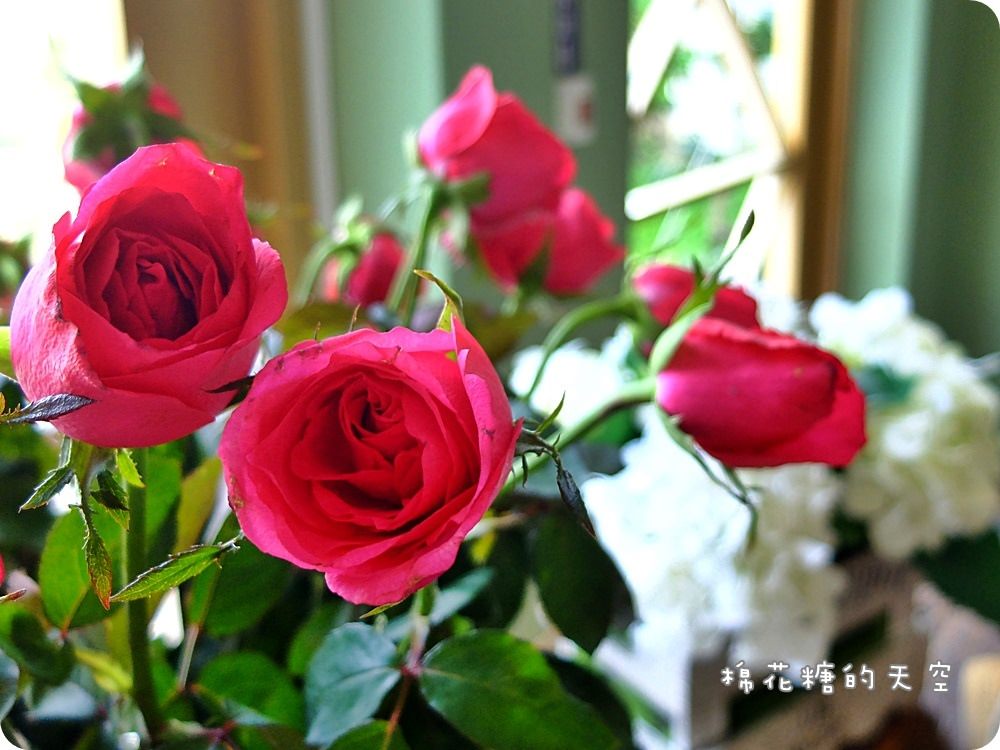 接待處5.JPG 接待處5.JPG