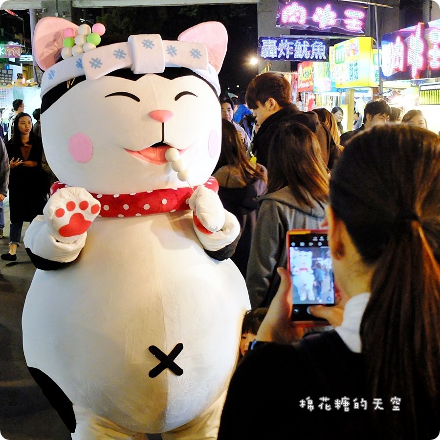 00貓咪5.JPG