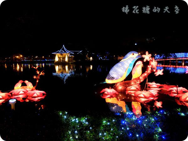 00水中鳥兒.JPG