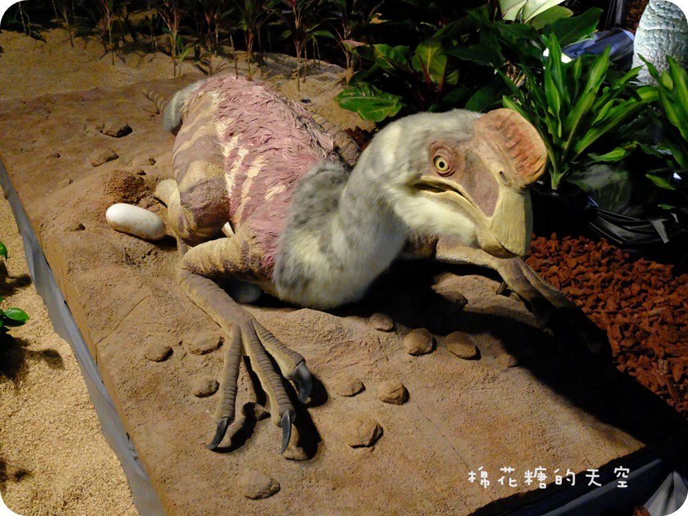 00DSCF3337.JPG