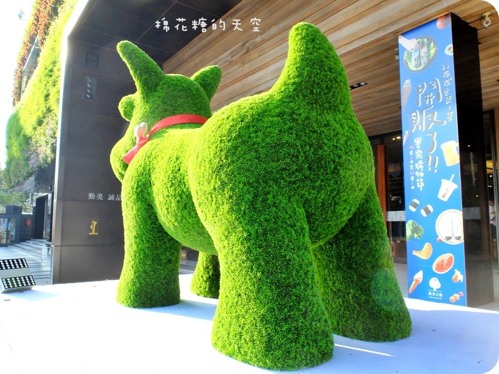 00狗2.JPG