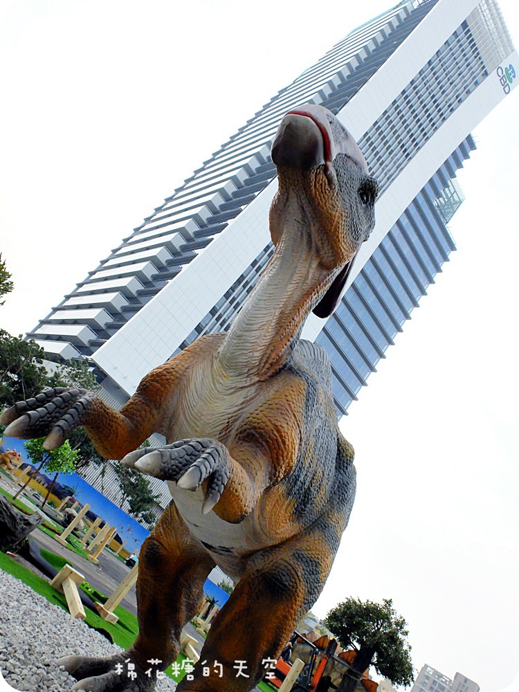 00DSCF0891.JPG