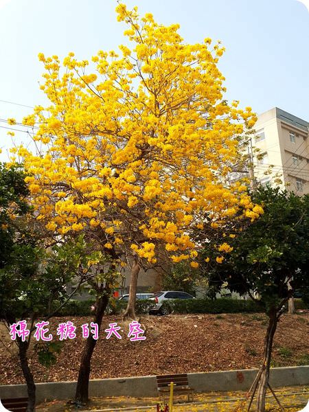 00全5