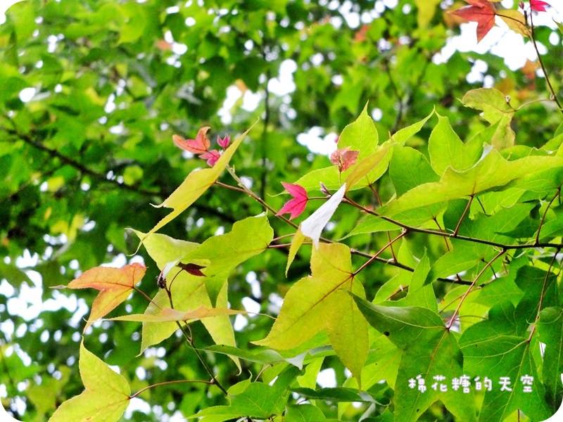 01園區5.JPG