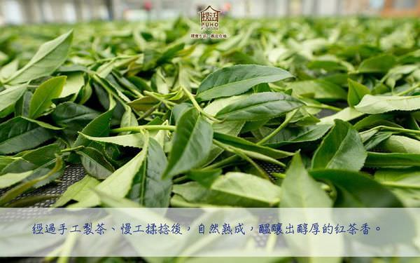 山果紅介紹2