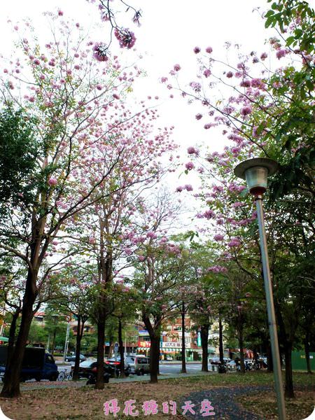 00全景6.JPG