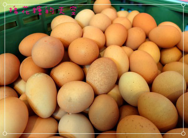 00原料-土雞蛋