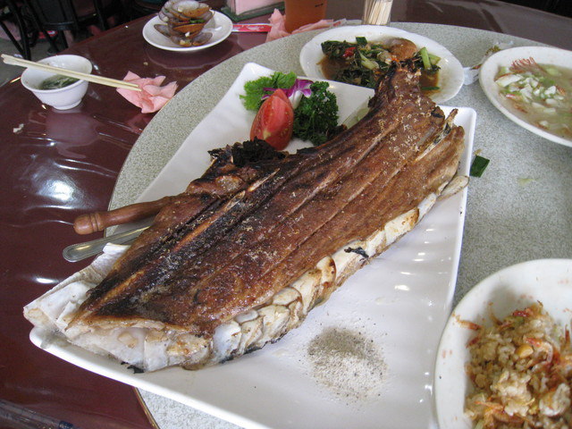 東港黑鮪魚~~追追追~~