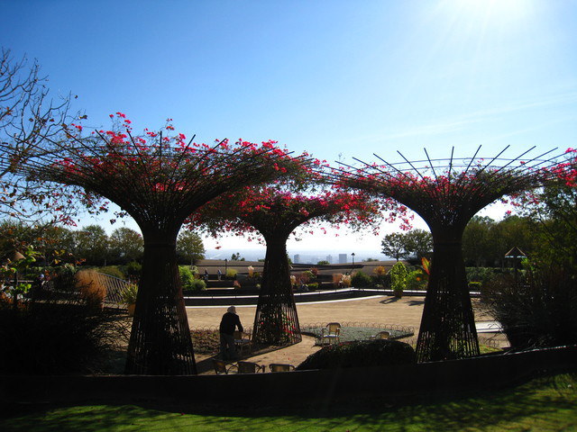 坐公車玩洛杉磯~Getty Center-庭園篇