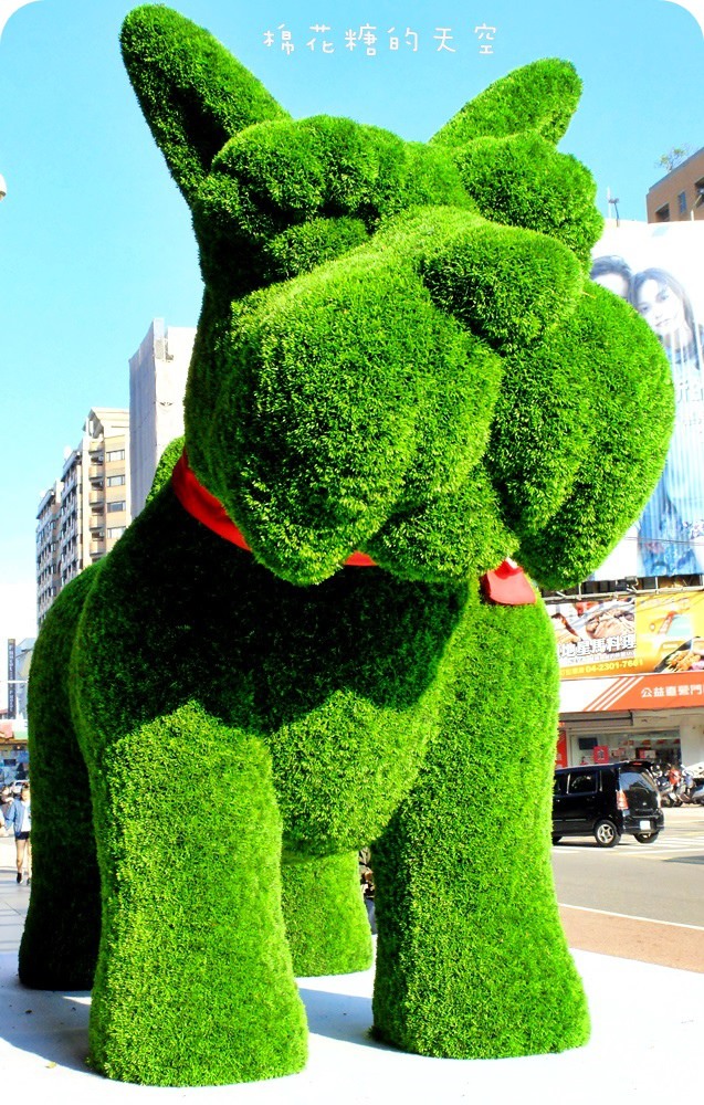 00狗3.JPG