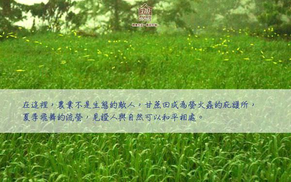 螢火蟲