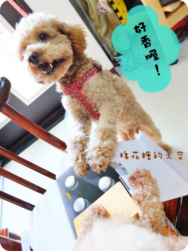 01包裝5.JPG