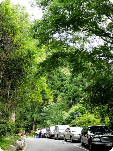 綠色隧道